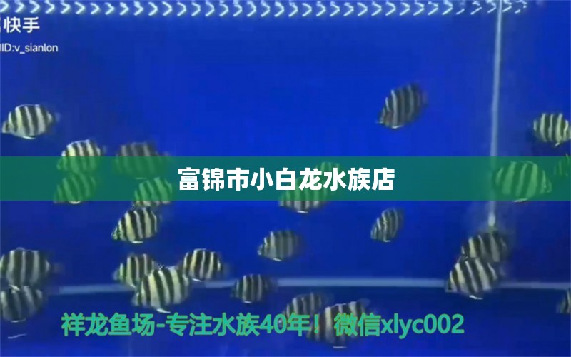 富錦市小白龍水族店 全國(guó)水族館企業(yè)名錄