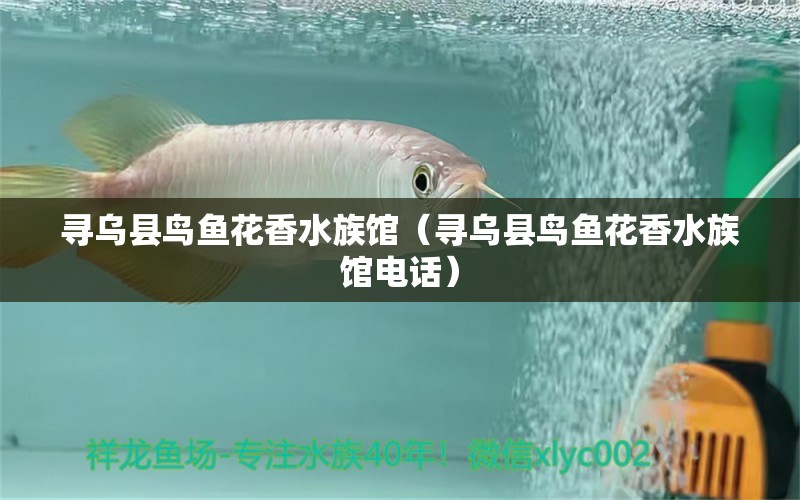 尋烏縣鳥魚花香水族館（尋烏縣鳥魚花香水族館電話） 全國水族館企業(yè)名錄