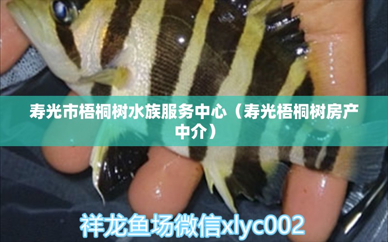 壽光市梧桐樹水族服務(wù)中心（壽光梧桐樹房產(chǎn)中介）