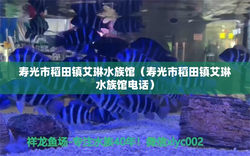 壽光市稻田鎮(zhèn)艾琳水族館（壽光市稻田鎮(zhèn)艾琳水族館電話）