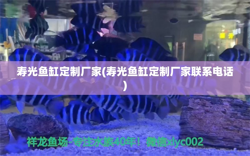 壽光魚缸定制廠家(壽光魚缸定制廠家聯(lián)系電話) 白條過背金龍魚