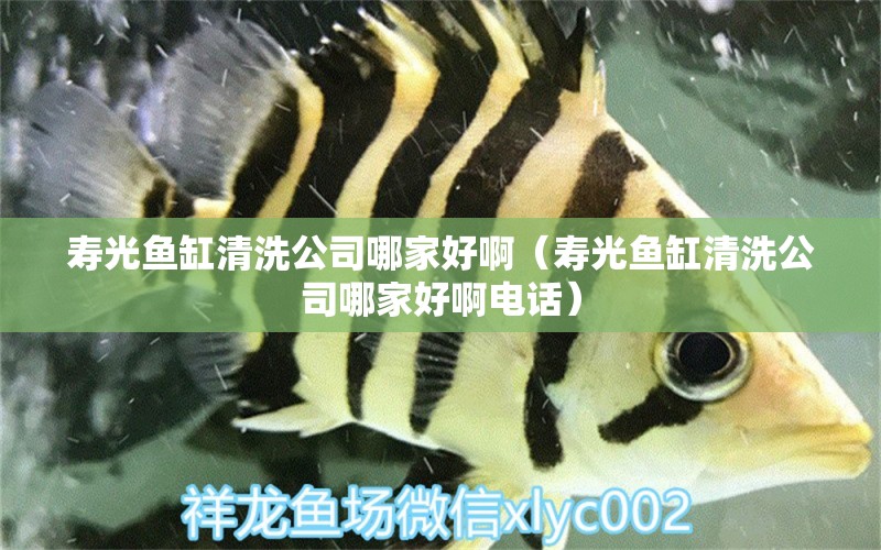 壽光魚缸清洗公司哪家好啊（壽光魚缸清洗公司哪家好啊電話）