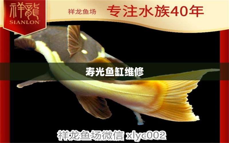 壽光魚(yú)缸維修