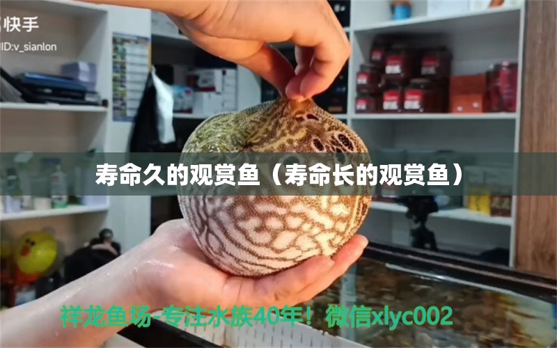 壽命久的觀賞魚(yú)（壽命長(zhǎng)的觀賞魚(yú)） 魚(yú)缸凈水劑