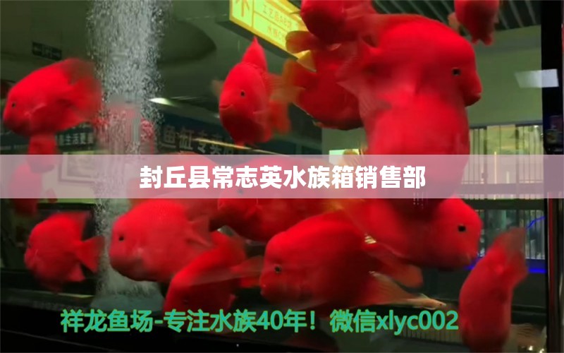 封丘縣常志英水族箱銷售部 魚缸/水族箱