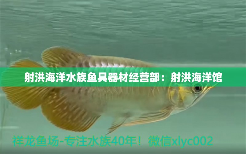 射洪海洋水族魚具器材經(jīng)營部：射洪海洋館