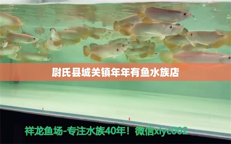 尉氏縣城關(guān)鎮(zhèn)年年有魚水族店