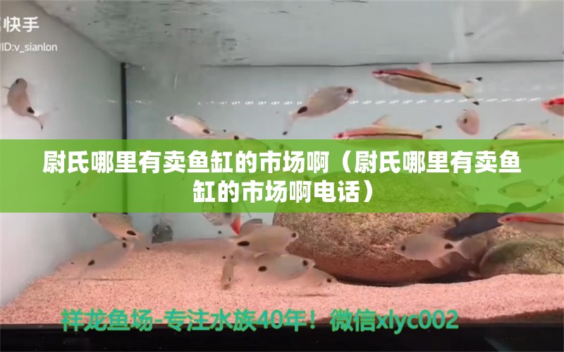 尉氏哪里有賣魚缸的市場?。ㄎ臼夏睦镉匈u魚缸的市場啊電話）