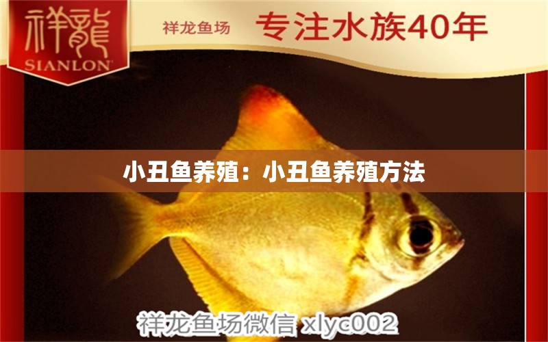 小丑魚養(yǎng)殖：小丑魚養(yǎng)殖方法 海水魚