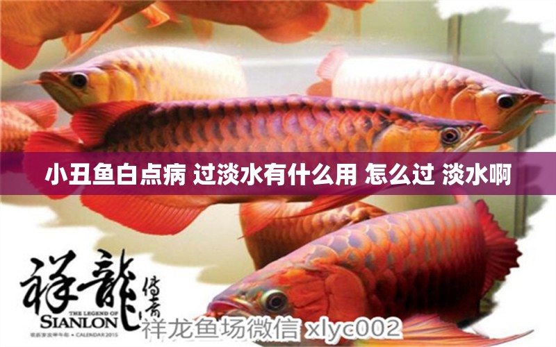 小丑魚白點(diǎn)病 過淡水有什么用 怎么過 淡水啊 海水魚