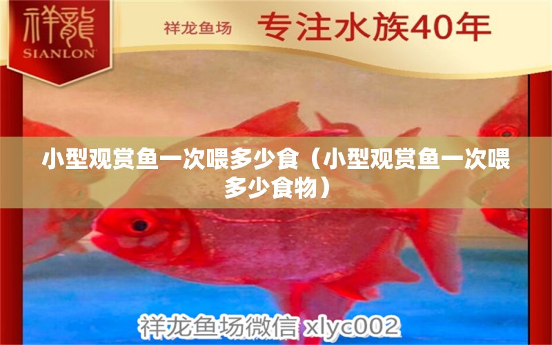 小型觀賞魚一次喂多少食（小型觀賞魚一次喂多少食物）