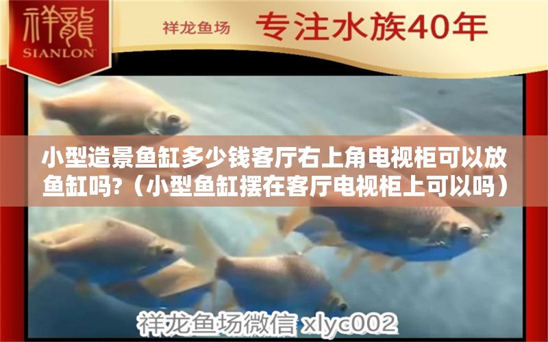 小型造景魚缸多少錢客廳右上角電視柜可以放魚缸嗎?（小型魚缸擺在客廳電視柜上可以嗎）