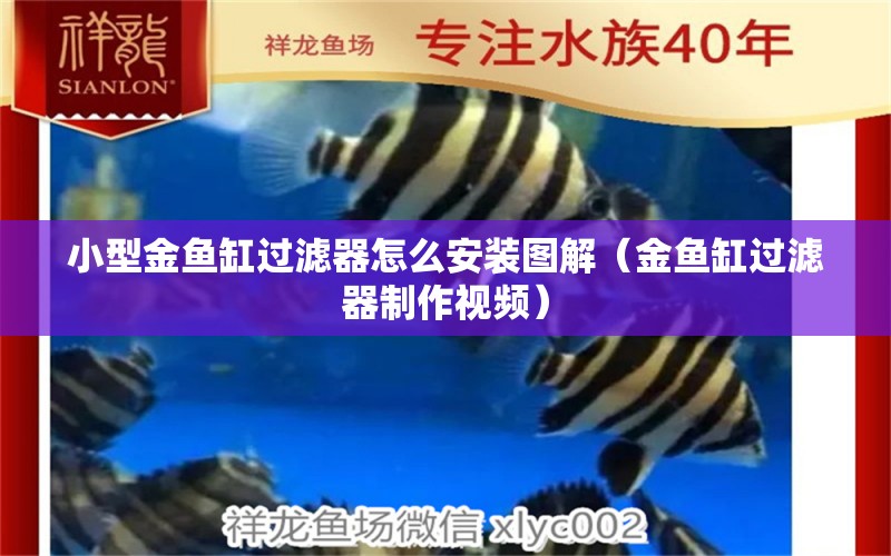 小型金魚(yú)缸過(guò)濾器怎么安裝圖解（金魚(yú)缸過(guò)濾器制作視頻）