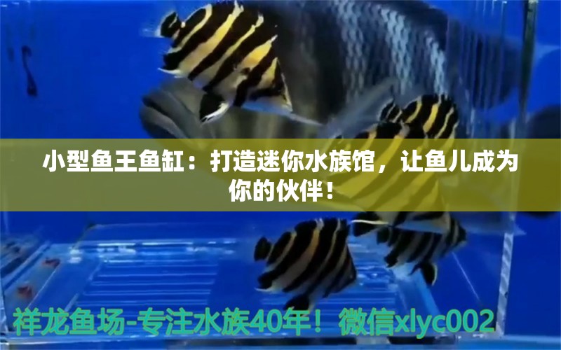 小型魚王魚缸：打造迷你水族館，讓魚兒成為你的伙伴！