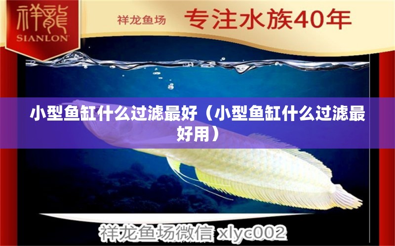 小型魚缸什么過濾最好（小型魚缸什么過濾最好用）