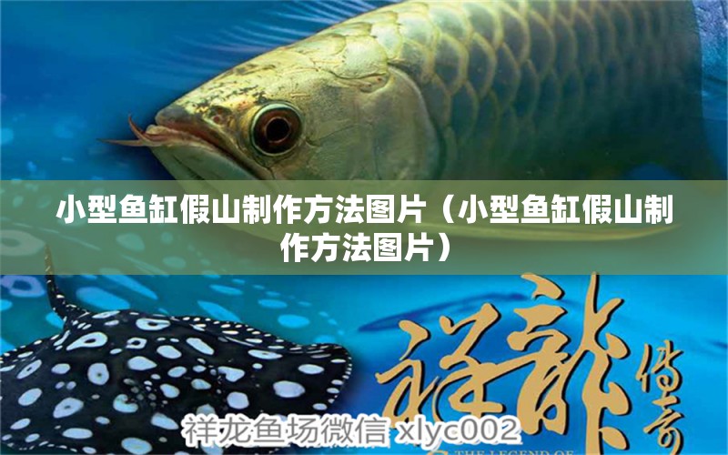 小型魚缸假山制作方法圖片（小型魚缸假山制作方法圖片）