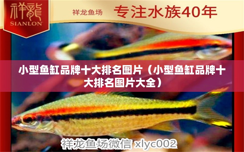 小型魚缸品牌十大排名圖片（小型魚缸品牌十大排名圖片大全） 其他品牌魚缸