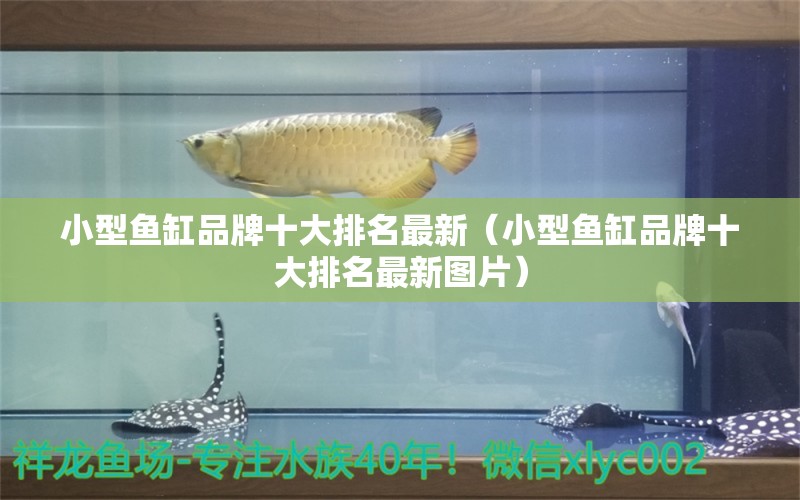 小型魚缸品牌十大排名最新（小型魚缸品牌十大排名最新圖片）