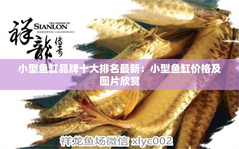 小型魚缸品牌十大排名最新：小型魚缸價格及圖片欣賞