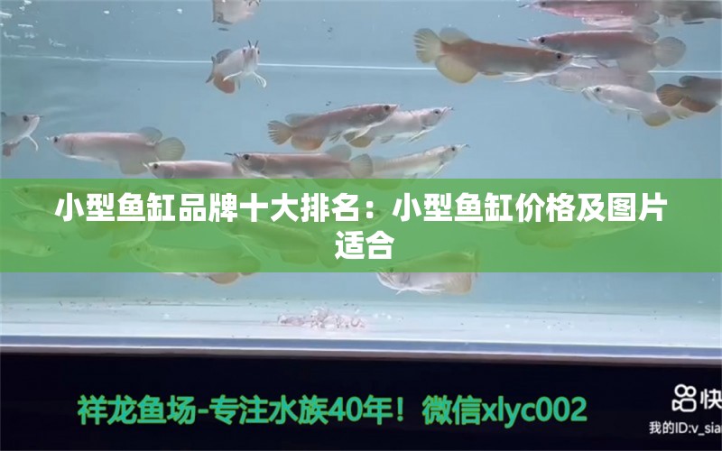 小型魚(yú)缸品牌十大排名：小型魚(yú)缸價(jià)格及圖片 適合