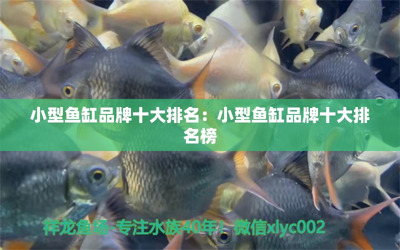 小型魚缸品牌十大排名：小型魚缸品牌十大排名榜