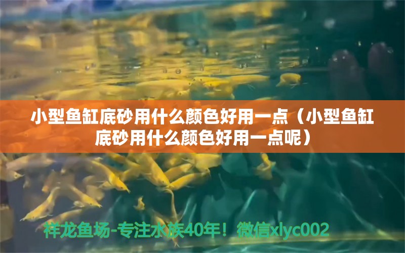 小型魚缸底砂用什么顏色好用一點（小型魚缸底砂用什么顏色好用一點呢）