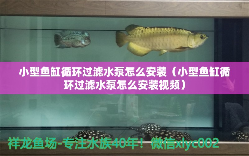 小型魚缸循環(huán)過濾水泵怎么安裝（小型魚缸循環(huán)過濾水泵怎么安裝視頻）