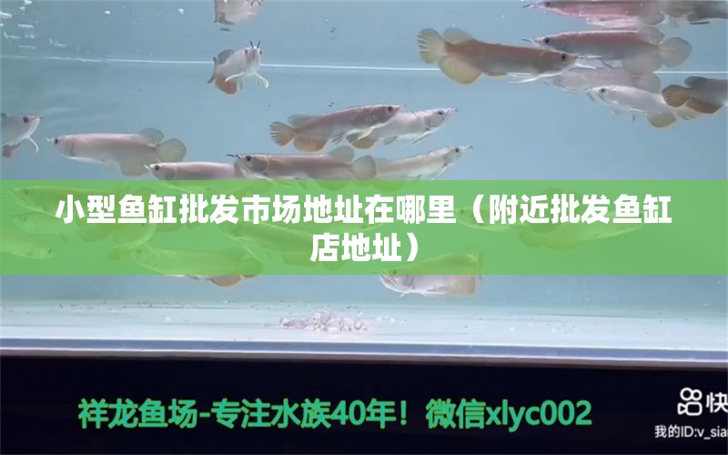 小型魚(yú)缸批發(fā)市場(chǎng)地址在哪里（附近批發(fā)魚(yú)缸店地址）