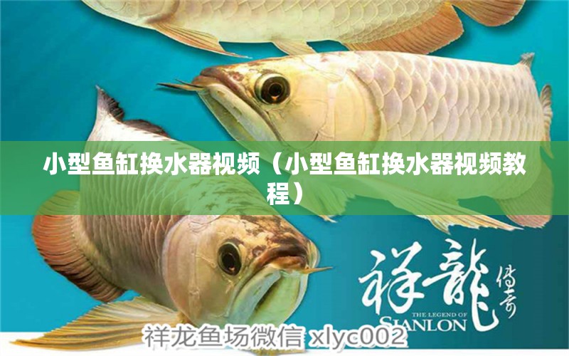 小型魚缸換水器視頻（小型魚缸換水器視頻教程）