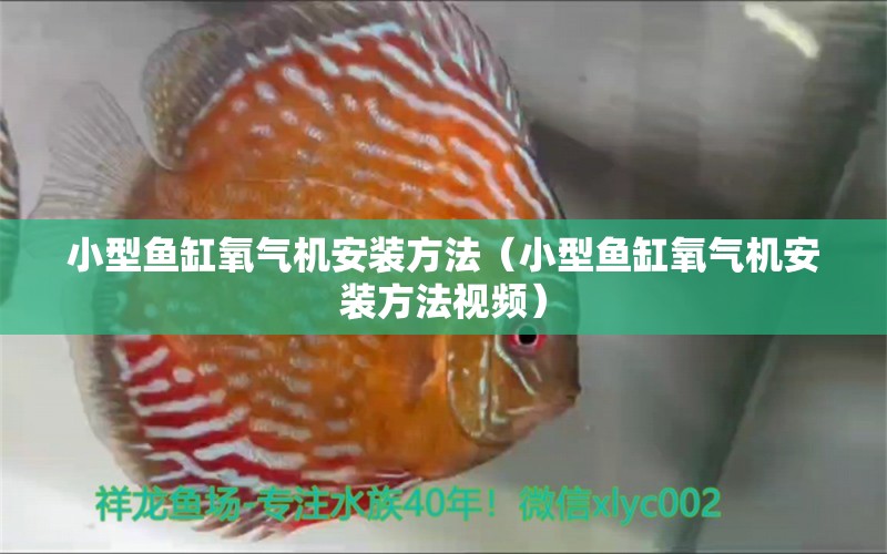 小型魚缸氧氣機安裝方法（小型魚缸氧氣機安裝方法視頻）