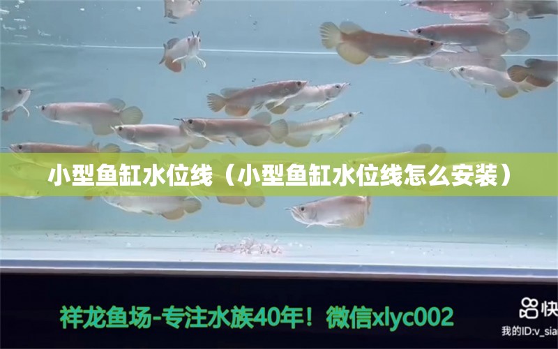 小型魚缸水位線（小型魚缸水位線怎么安裝）