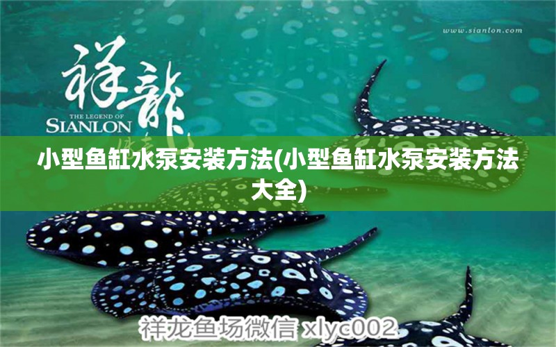 小型魚缸水泵安裝方法(小型魚缸水泵安裝方法大全) 魚缸水泵