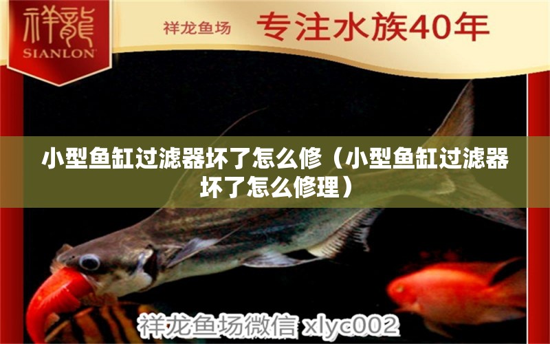 小型魚缸過濾器壞了怎么修（小型魚缸過濾器壞了怎么修理）