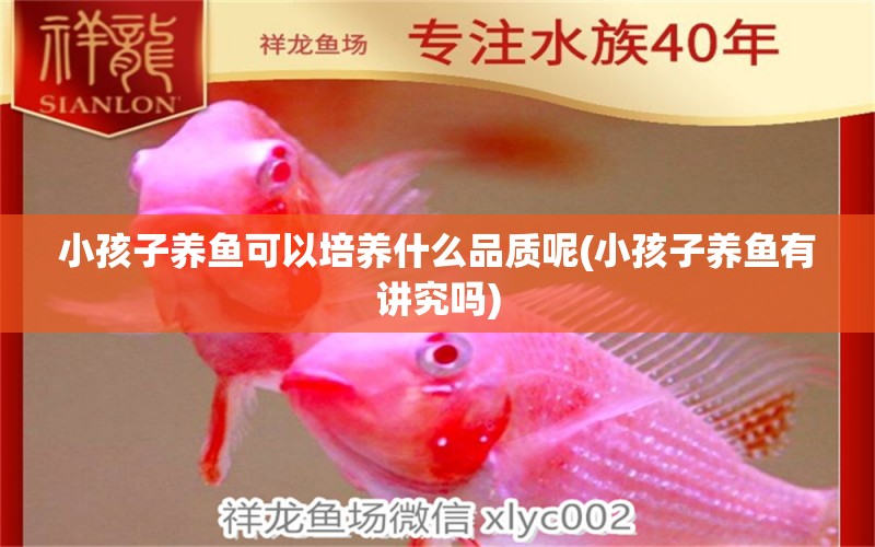 小孩子養(yǎng)魚可以培養(yǎng)什么品質(zhì)呢(小孩子養(yǎng)魚有講究嗎) 藍(lán)帆三間魚