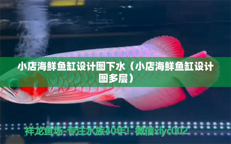 小店海鮮魚缸設計圖下水（小店海鮮魚缸設計圖多層） 帝王迷宮魚