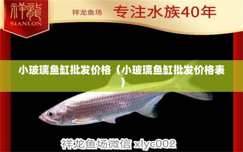 小玻璃魚(yú)缸批發(fā)價(jià)格（小玻璃魚(yú)缸批發(fā)價(jià)格表）