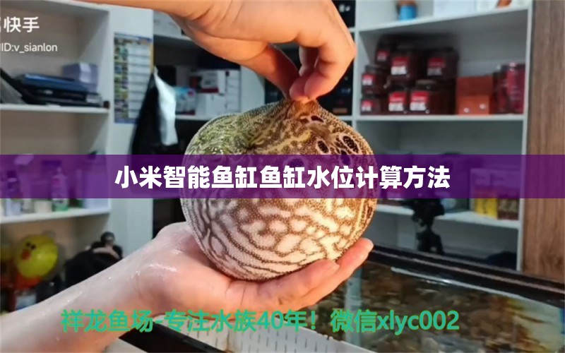 小米智能魚缸魚缸水位計算方法 ?；?異型虎魚/純色虎魚