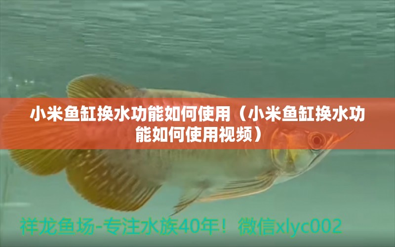 小米魚(yú)缸換水功能如何使用（小米魚(yú)缸換水功能如何使用視頻） 其他品牌魚(yú)缸