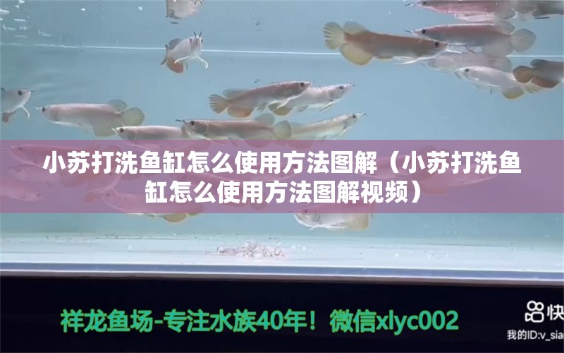 小蘇打洗魚缸怎么使用方法圖解（小蘇打洗魚缸怎么使用方法圖解視頻）