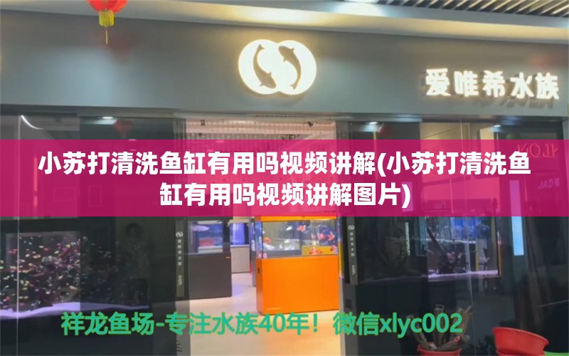 小蘇打清洗魚缸有用嗎視頻講解(小蘇打清洗魚缸有用嗎視頻講解圖片) 龍魚芯片掃碼器