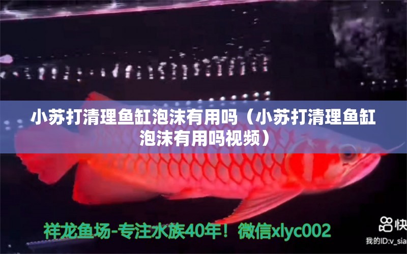 小蘇打清理魚缸泡沫有用嗎（小蘇打清理魚缸泡沫有用嗎視頻）