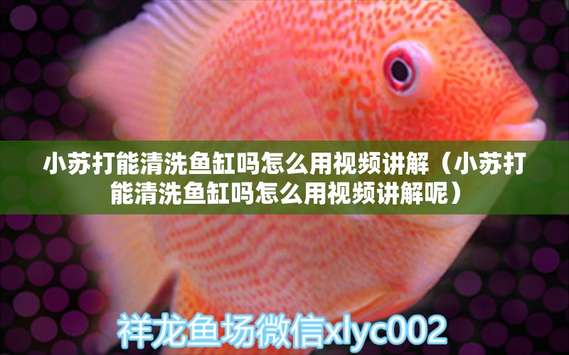 小蘇打能清洗魚缸嗎怎么用視頻講解（小蘇打能清洗魚缸嗎怎么用視頻講解呢）