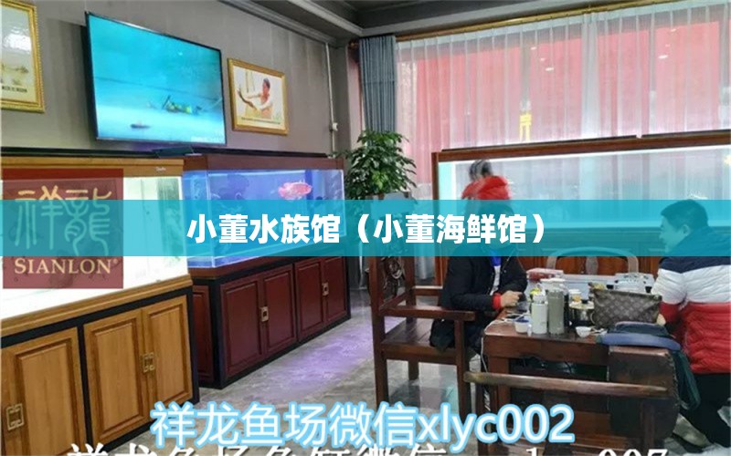 小董水族館（小董海鮮館） 全國水族館企業(yè)名錄