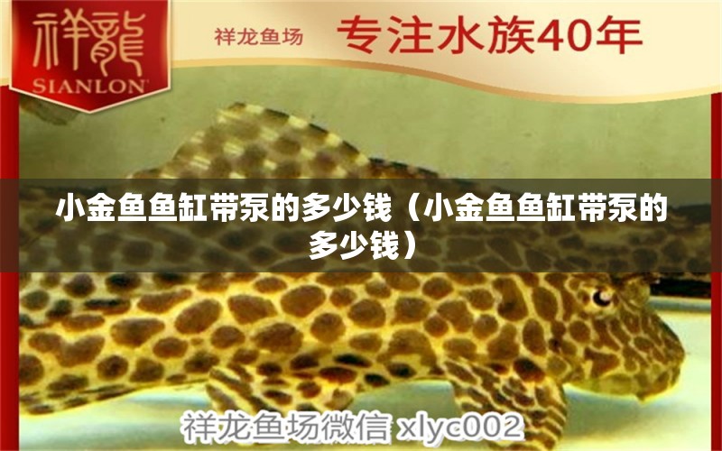 小金魚魚缸帶泵的多少錢（小金魚魚缸帶泵的多少錢） 委內(nèi)瑞拉奧里諾三間魚