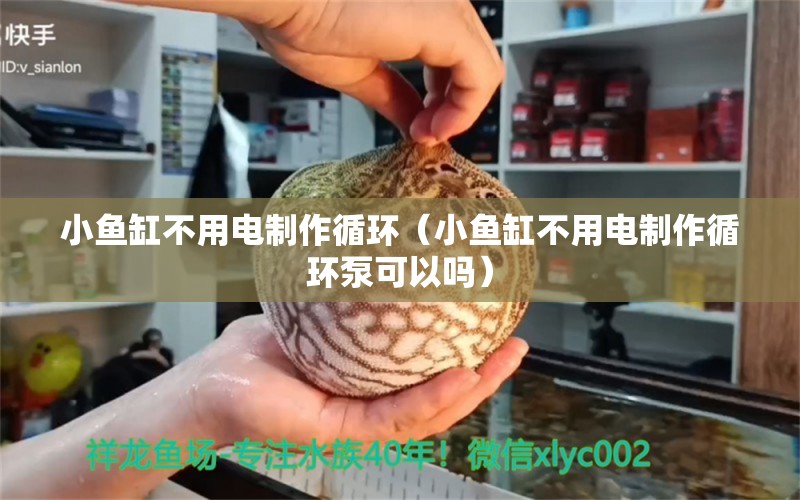 小魚缸不用電制作循環(huán)（小魚缸不用電制作循環(huán)泵可以嗎） 祥龍水族醫(yī)院