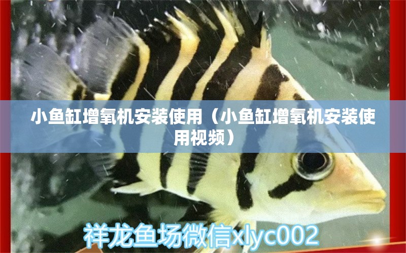 小魚缸增氧機(jī)安裝使用（小魚缸增氧機(jī)安裝使用視頻）