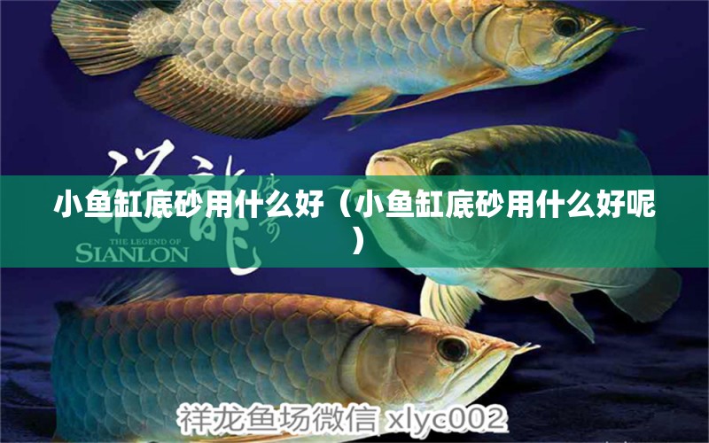 小魚缸底砂用什么好（小魚缸底砂用什么好呢） 祥龍水族醫(yī)院