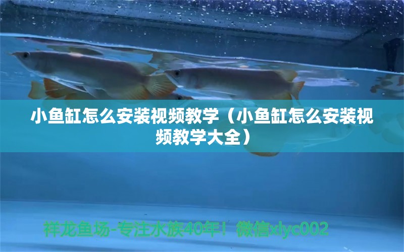 小魚缸怎么安裝視頻教學(xué)（小魚缸怎么安裝視頻教學(xué)大全）