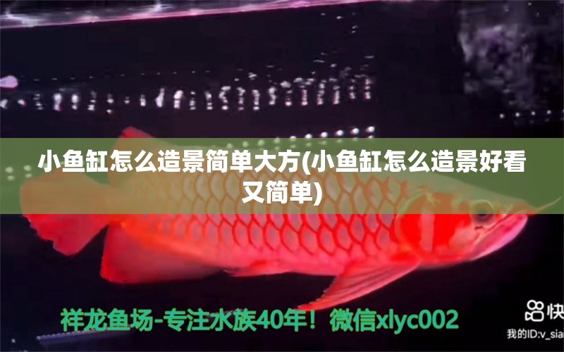 小魚缸怎么造景簡(jiǎn)單大方(小魚缸怎么造景好看又簡(jiǎn)單) 魚糧魚藥