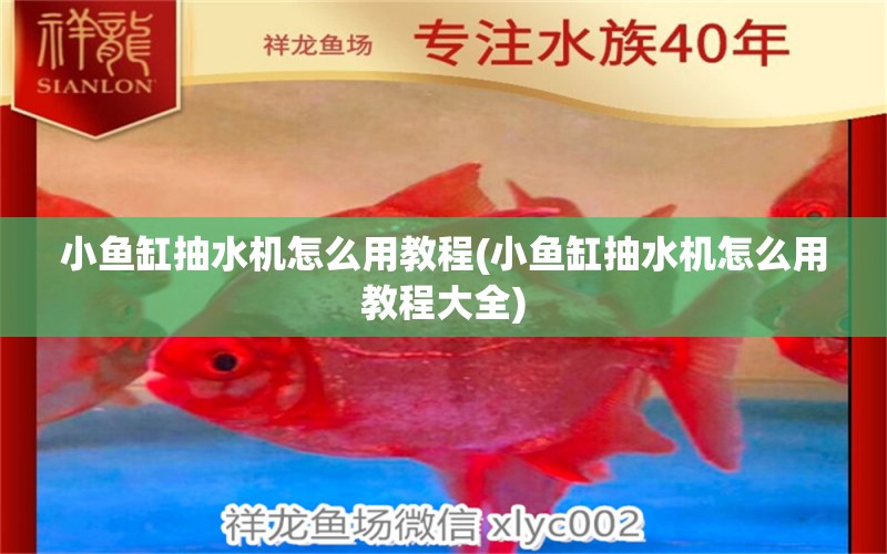 小魚缸抽水機(jī)怎么用教程(小魚缸抽水機(jī)怎么用教程大全)